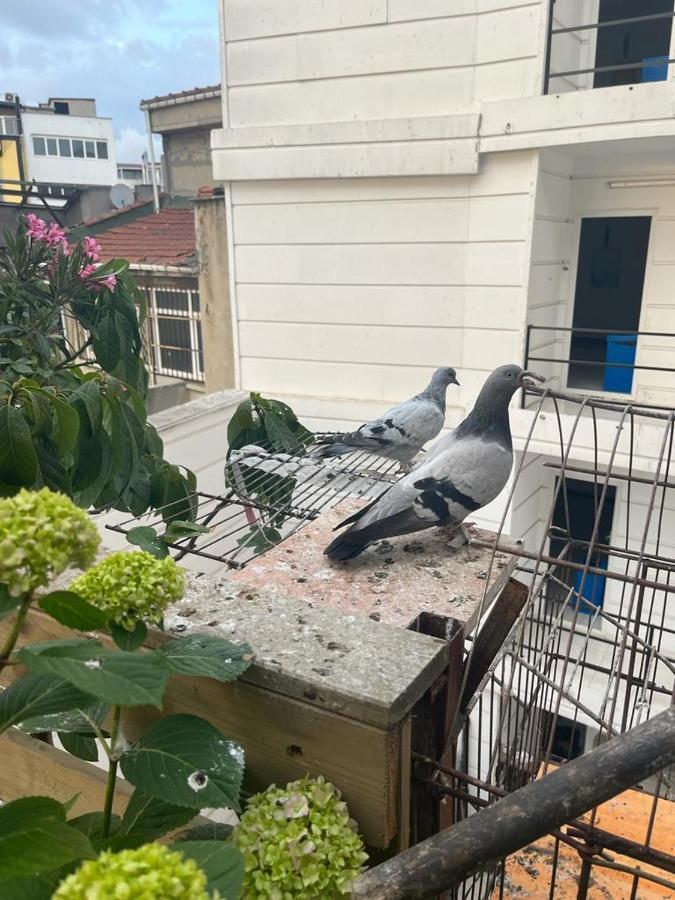 Central Apartment Kadikoy Terrace Bbq Close 2 Block Ferry Bull Metro Nighlife Estambul Exterior foto