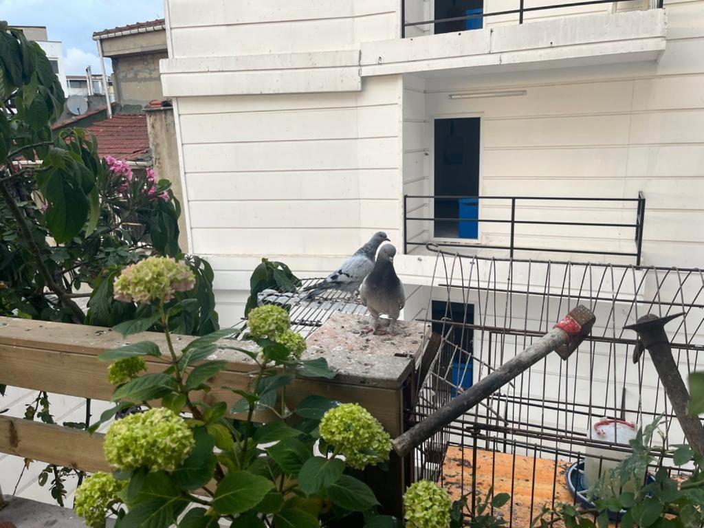 Central Apartment Kadikoy Terrace Bbq Close 2 Block Ferry Bull Metro Nighlife Estambul Exterior foto